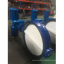 Ductile Iron Center Line Pneumatic Butterfly Valve